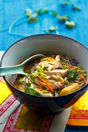 Chicken Noodle Soup-FoodOpera