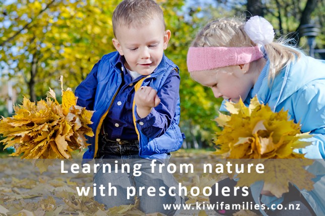 learning from nature
