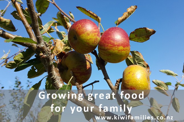 Growing great food