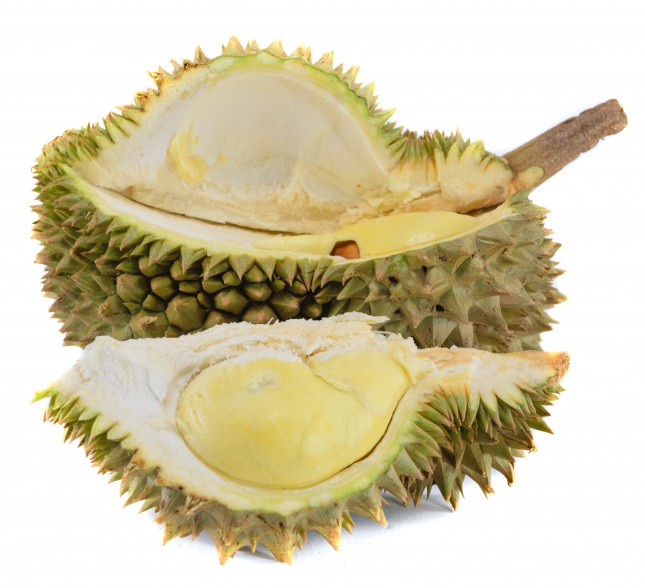 Durian king of fruit isolated on white background