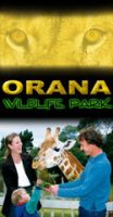 Orana-Park-Kiwi-Families.jpg