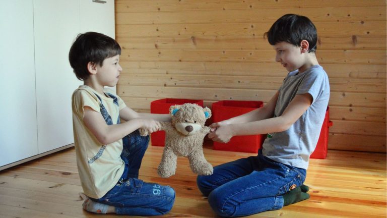 Two young siblings fighting for a teddy bear