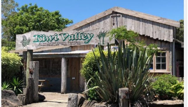Things to do in Auckland with kids-Kiwi Valley Farm Park
