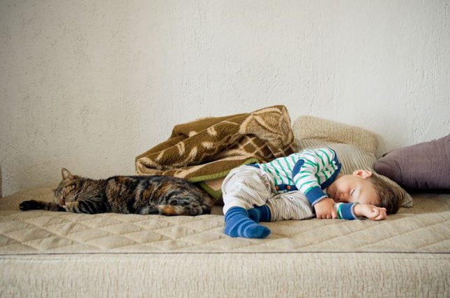Child sleeping with cat