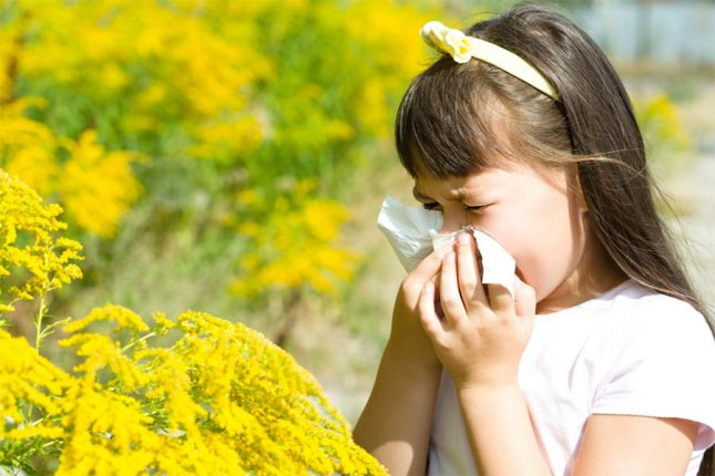 Allergy New Zealand Allergy New Zealand