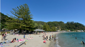Eastbourne Picnic - Things to do in Wellington