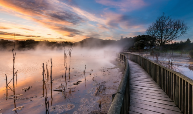Places to stay in Rotorua - Kiwi Families