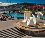 zealandia - Things to do in Wellington