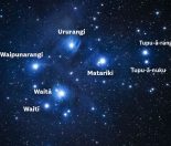 matariki-stars-seven-sisters-Maori-New-Year-Pleiades
