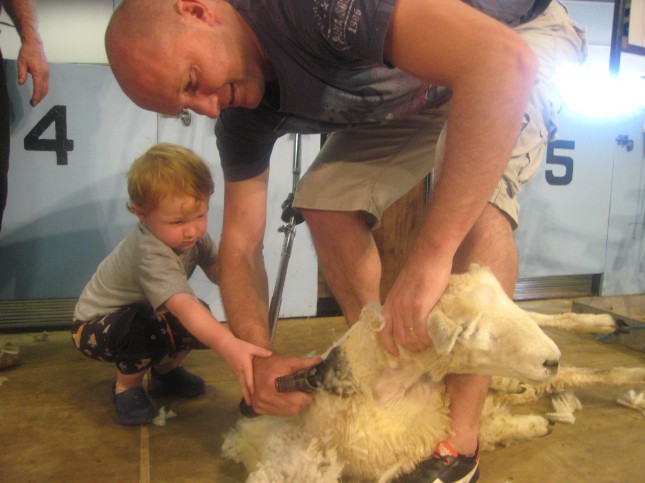 Coca-Cola Easter Show 2012