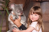 Australia Zoo
