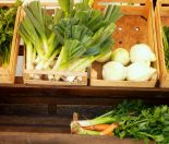 Go organic and grow a great family