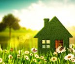greening up your home