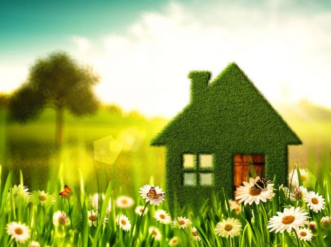 greening up your home