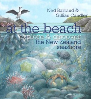 At the Beach – explore and discover