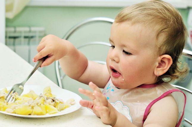 fussy-eating-toddlers
