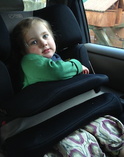 mountain buggy car seat review