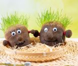 How to make grass head people