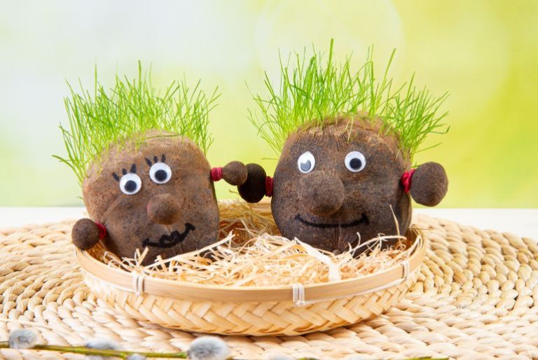 How to Make Grass Head People How to make grass head people