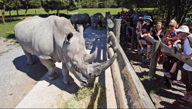 Orana Wildlife Park-Things to do in Christchurch
