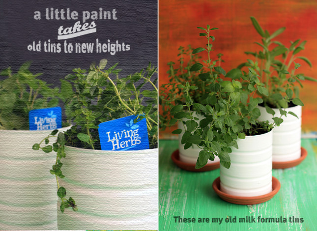 Herb-pots1