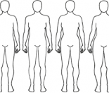 body shapes