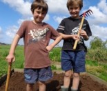 Children gardening