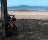 celebrating every day