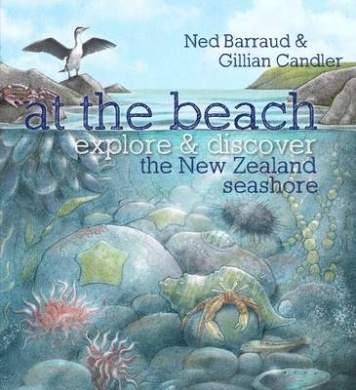 At the Beach by Ned Barraud and Gillian Candler At the beach review