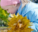 Learning from nature