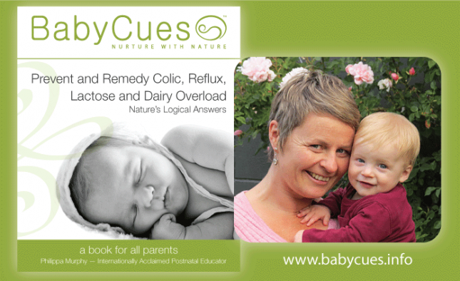 BabyCues parenting book