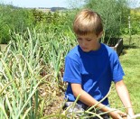 Grow food for the love of kids