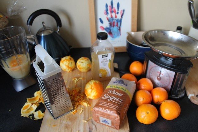 Grapefruit Marmalade setup