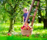 Reducing the nasties in your diet