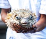 making-brave-food-decisions