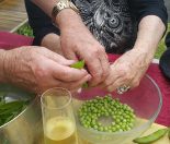 celebrating-gardening