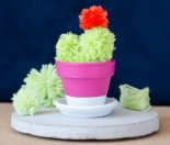 pompom_cuctus_diy