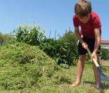 how-to-make-a-compost-oven