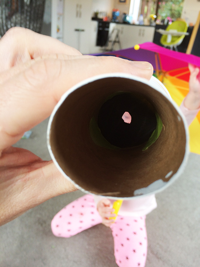 Toilet roll telescope with optical illusion Kiwi Families