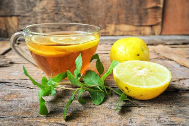 Terrific Homemade Lemon Cordial Recipe-winter