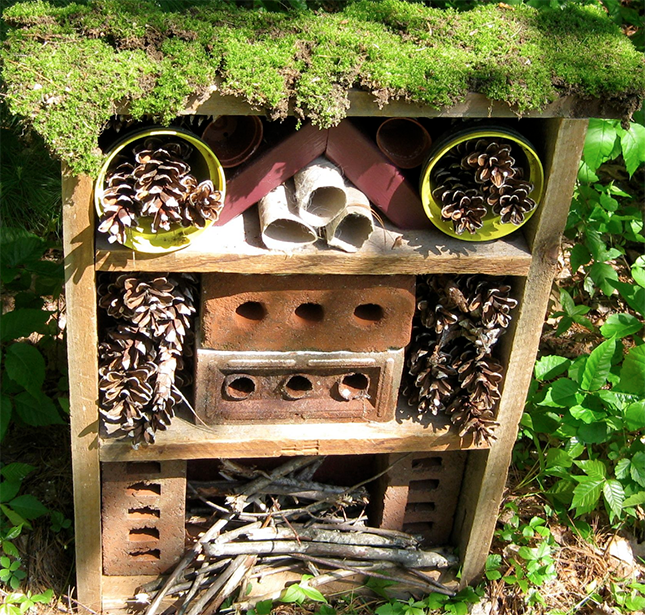 Department of Conservation-Bug hotel