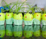 Egg shell caterpillar microgreen garden for kids