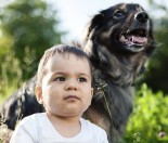 How to prepare your dog for a new baby