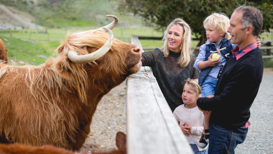 Awesome things to do in Queenstown-Walter Peak High Country Farm