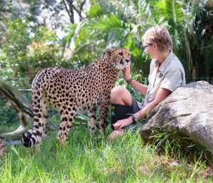Kiwi Families 2018 Christmas Giveaway Auckland zoo