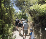 Things to do in Marlborough with kids