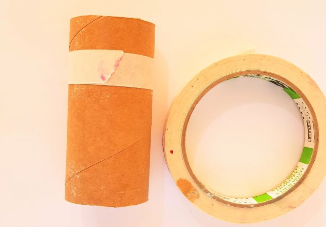 TP Roll Parrot tape