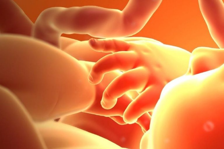 17 Weeks Pregnant – Your Baby, You & Your Body, Advice and More 17 Weeks Pregnant