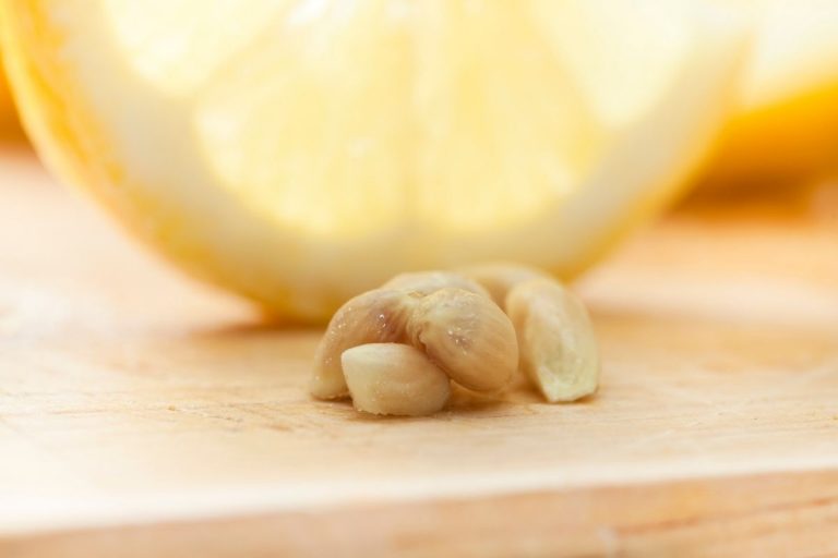 5 Weeks Pregnant – Your Baby, You & Your Body, Advice and More