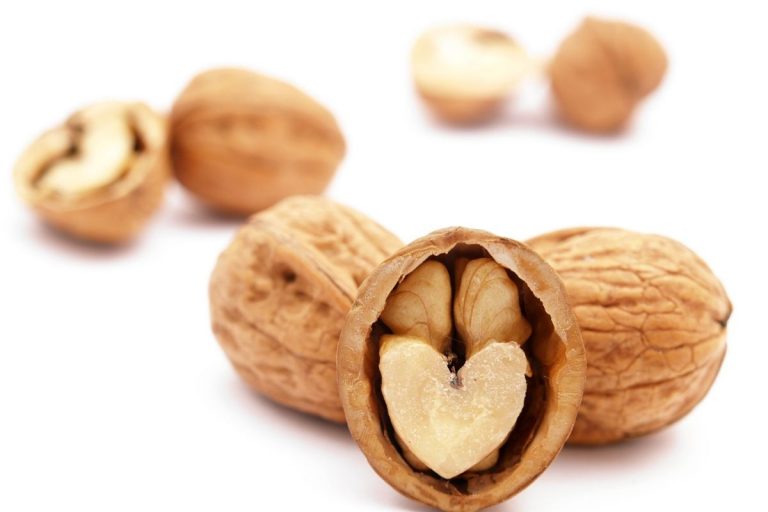 11 Weeks Pregnant – Your Baby, You & Your Body, Advice and More 11 Weeks Pregnant